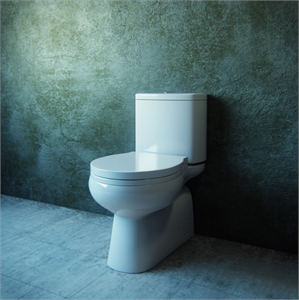 toilet 04